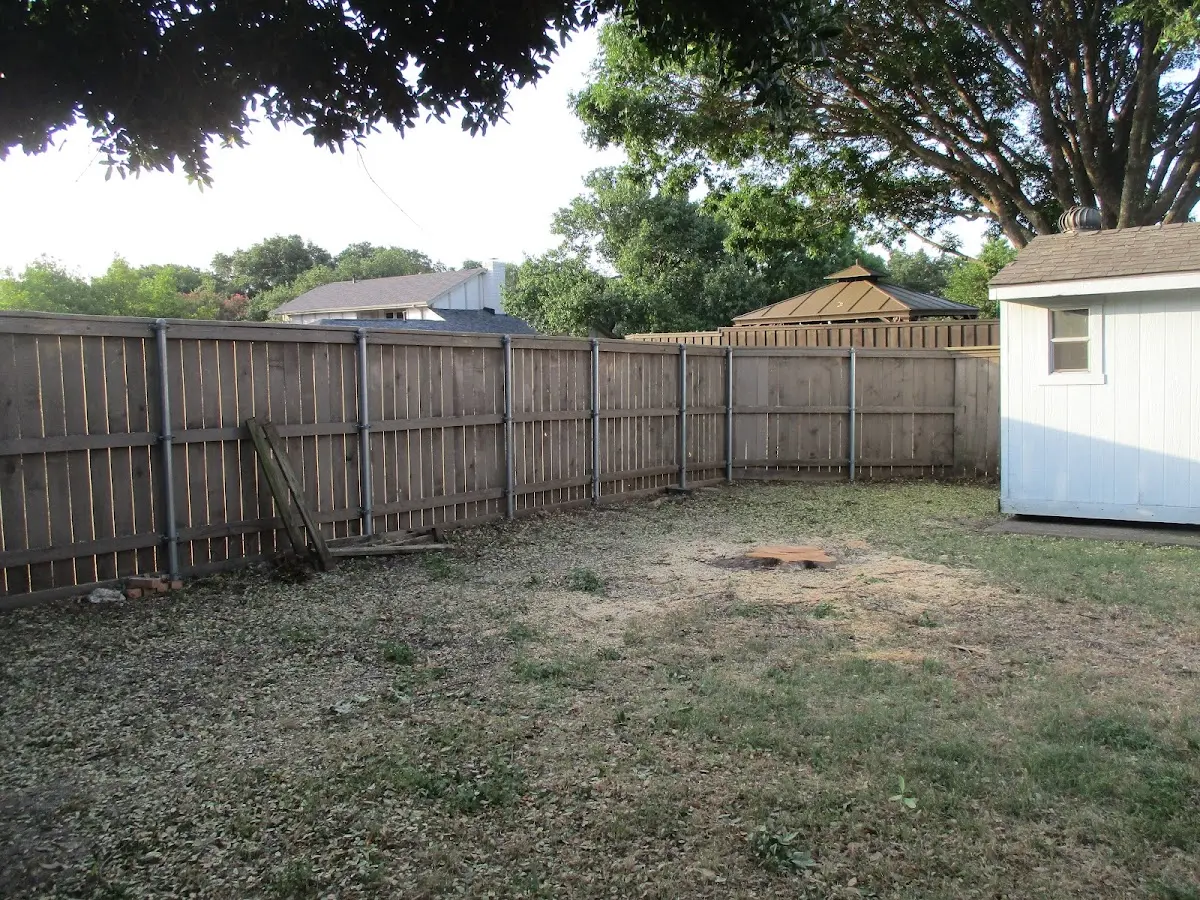 Cleared yard after professional tree removal in Rock Creek