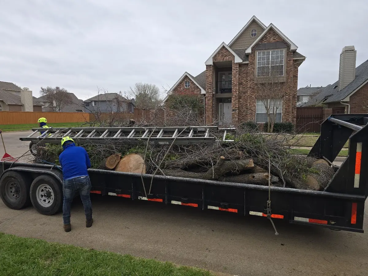 Expert Tree Fertilization with proper safety equipment in Rock Creek